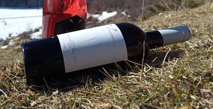 IMG_20250124_113514_764